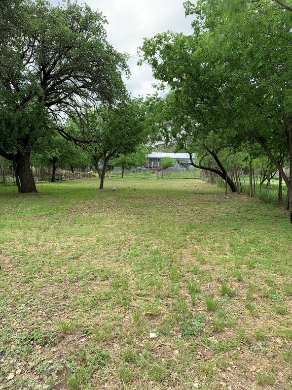 Picture 5