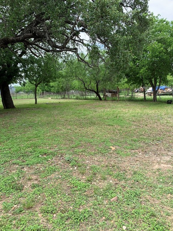 Picture 6