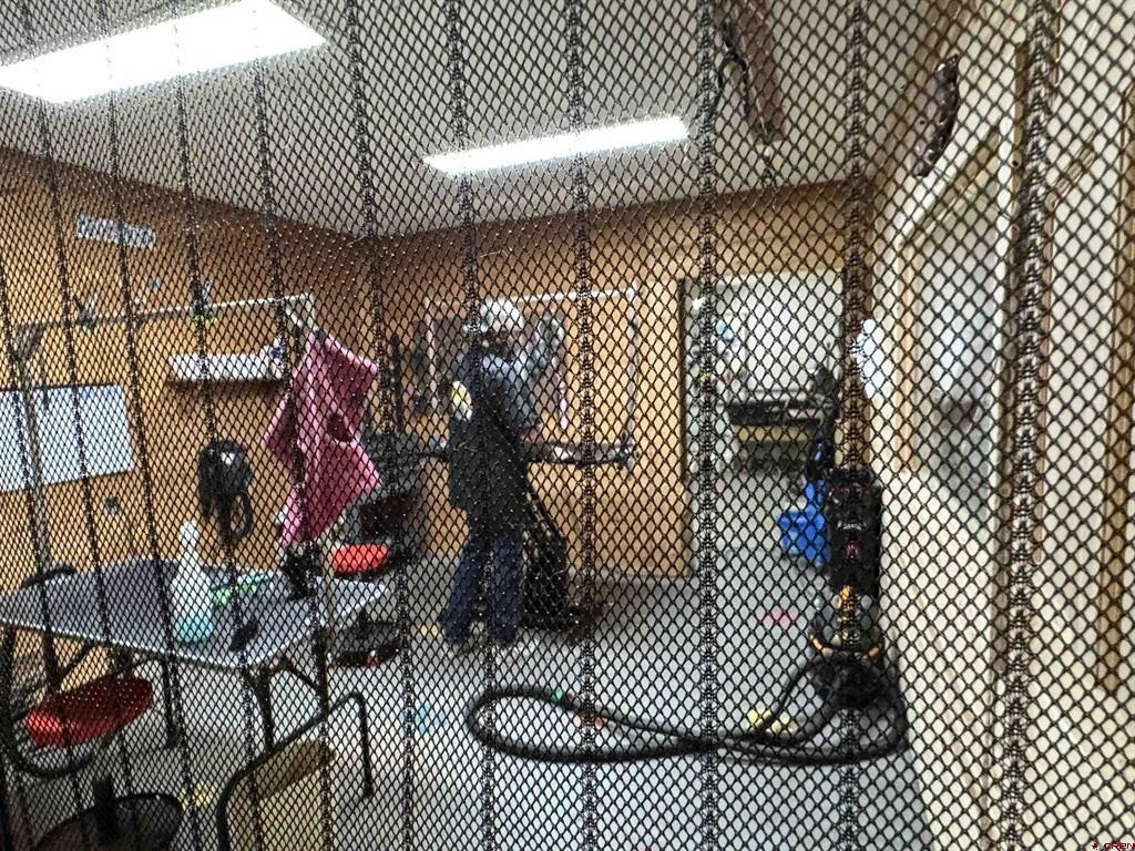 Picture 16