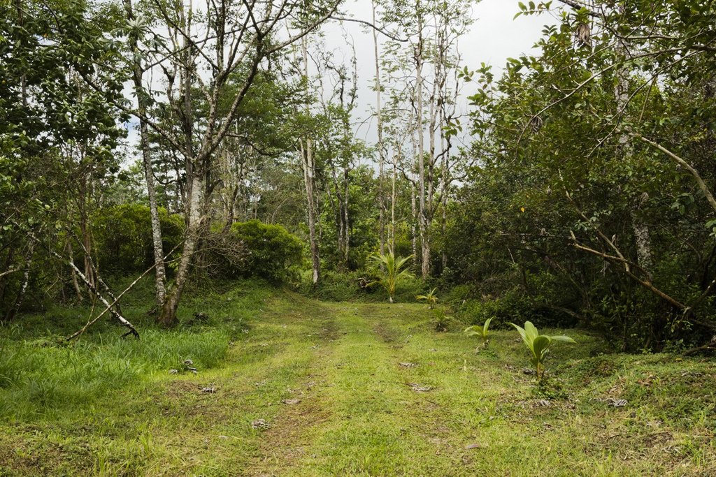 Picture 21