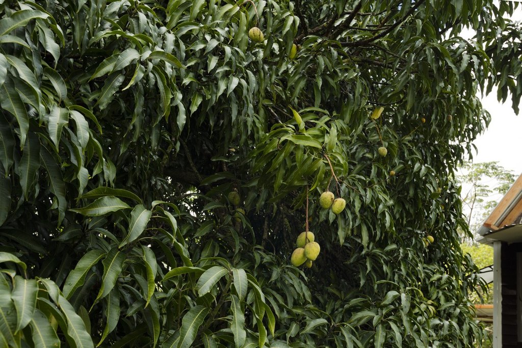 Picture 23