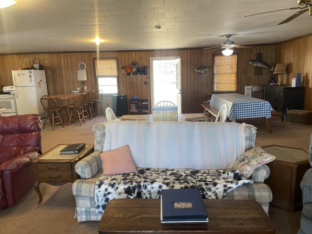 Picture 21