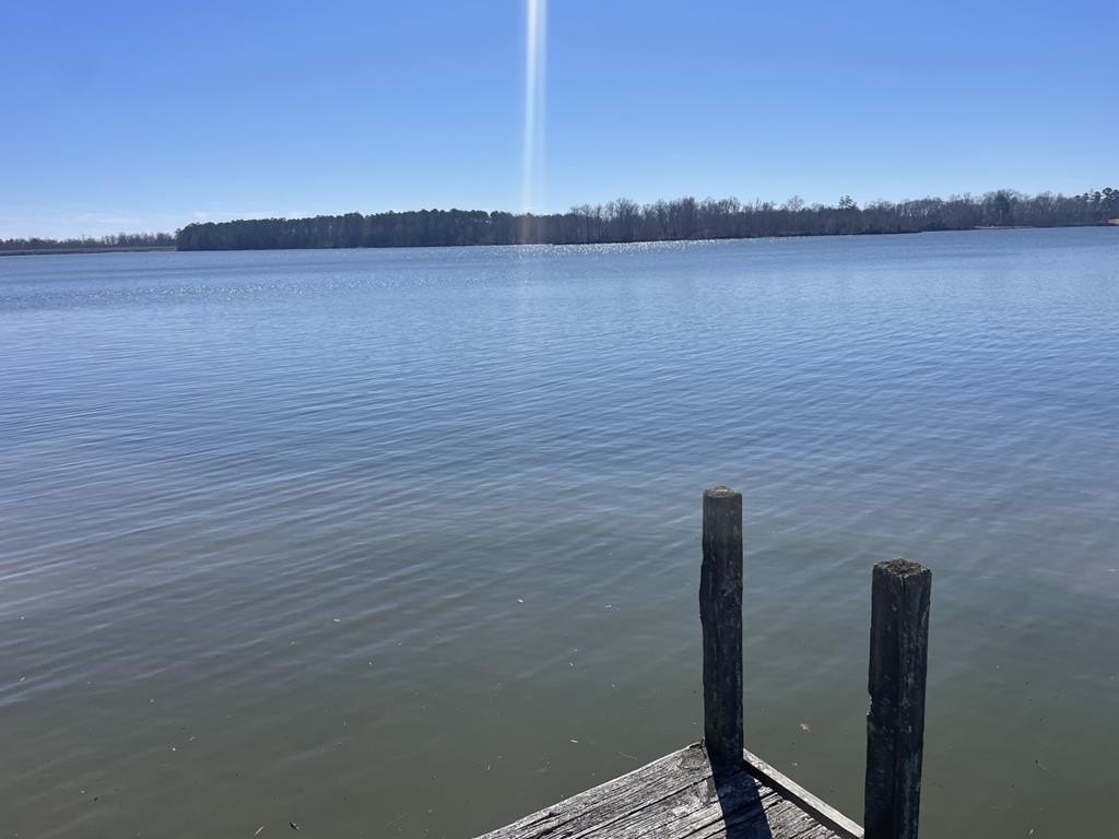 Picture 38