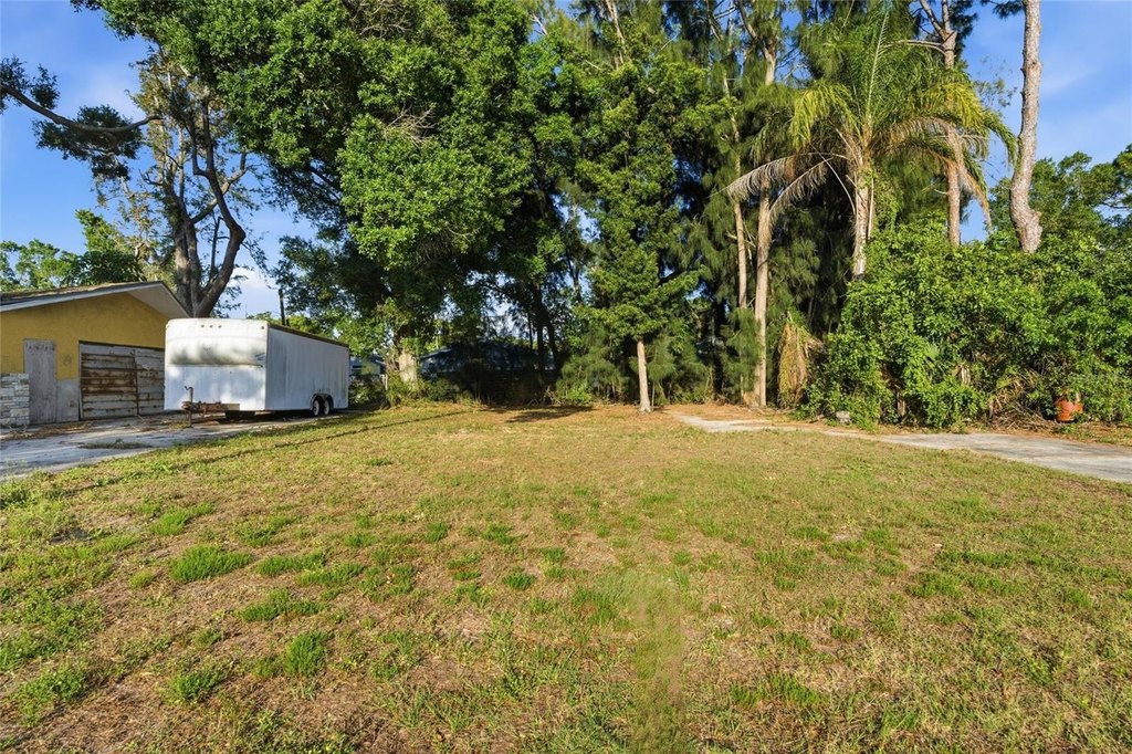 Picture 8