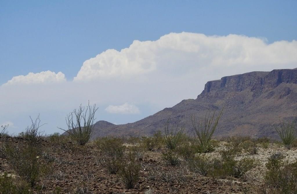 Lajitas Land for Hunting/Homestead