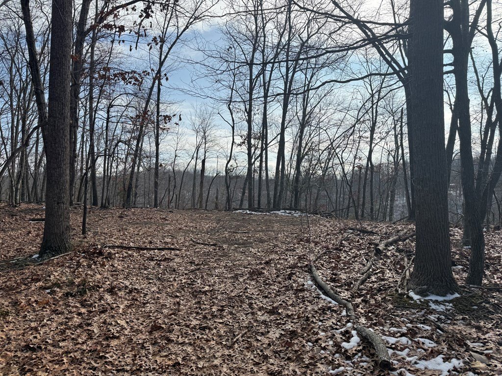 Picture 24