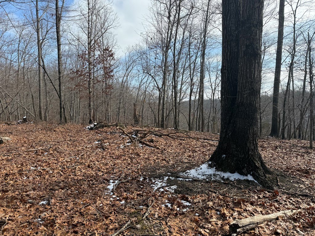 Picture 17
