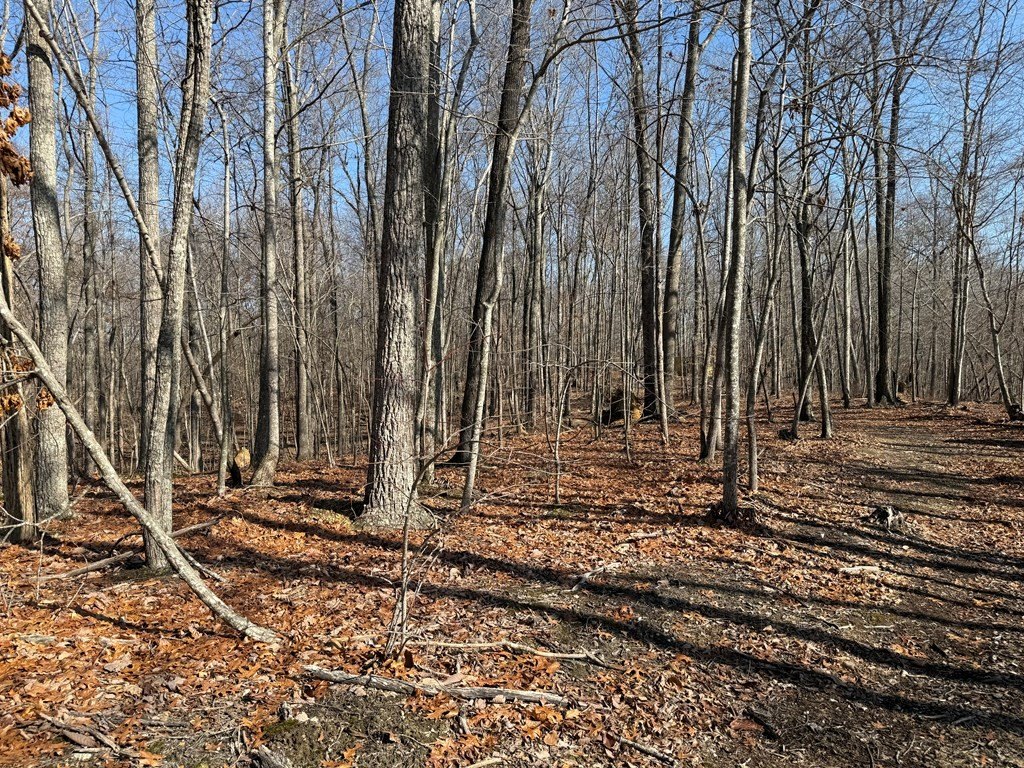 Picture 36