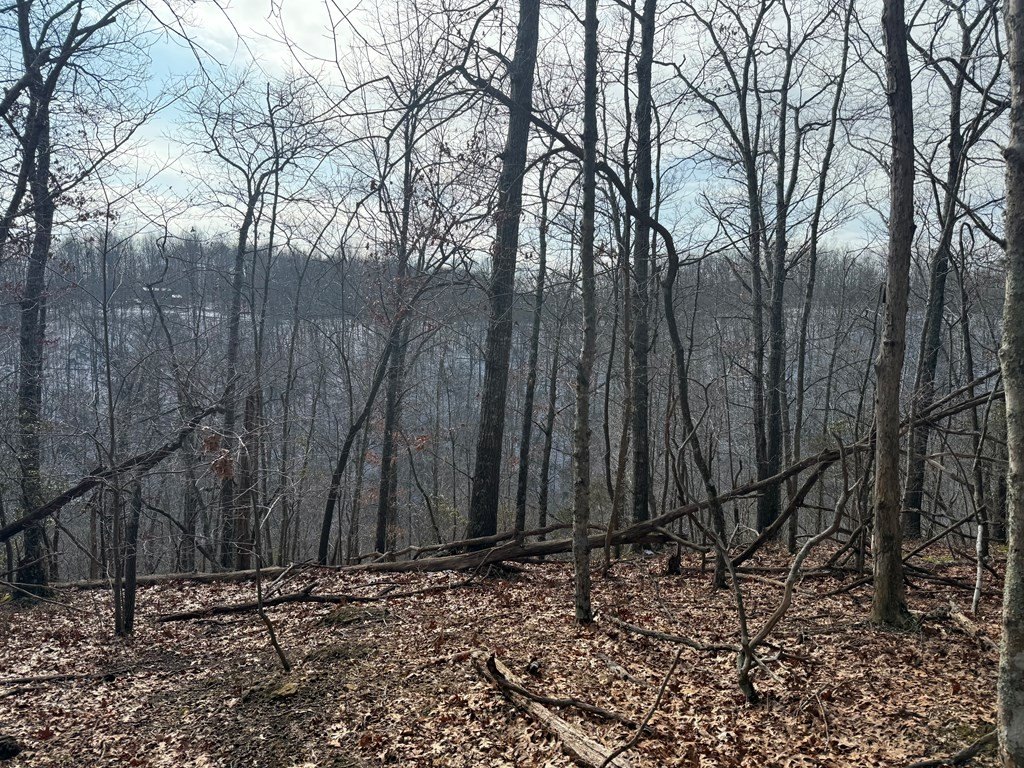 Picture 14