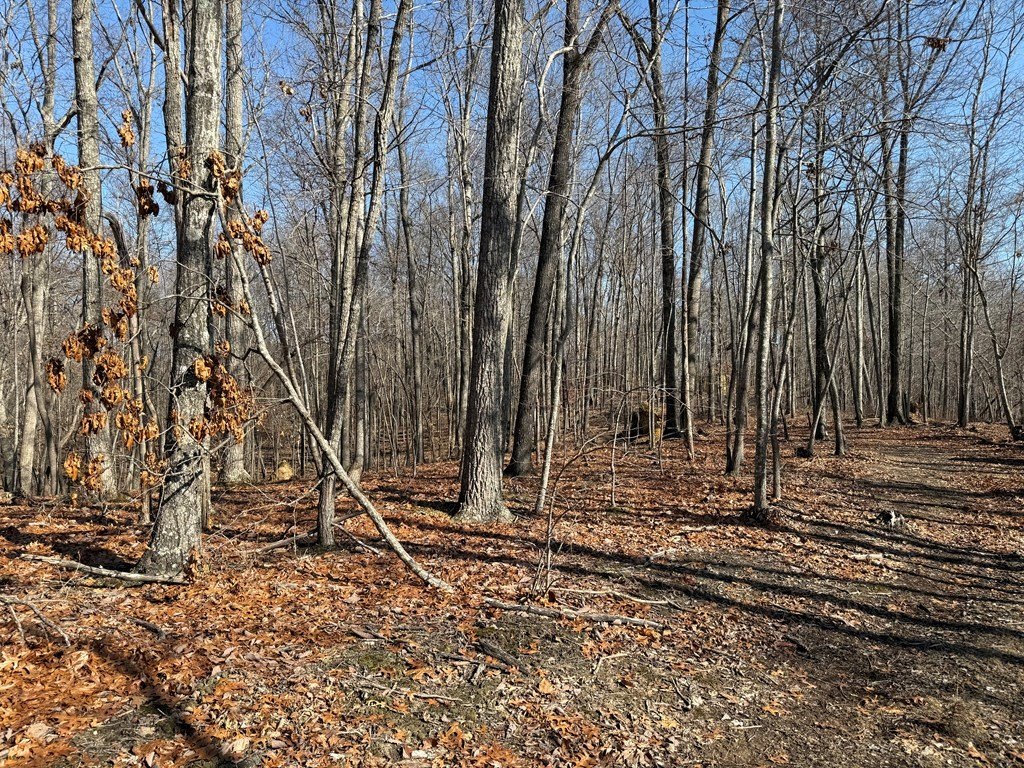 Picture 26