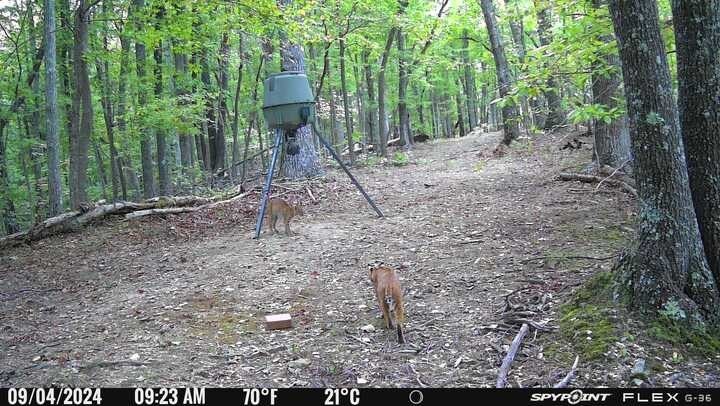Picture 33