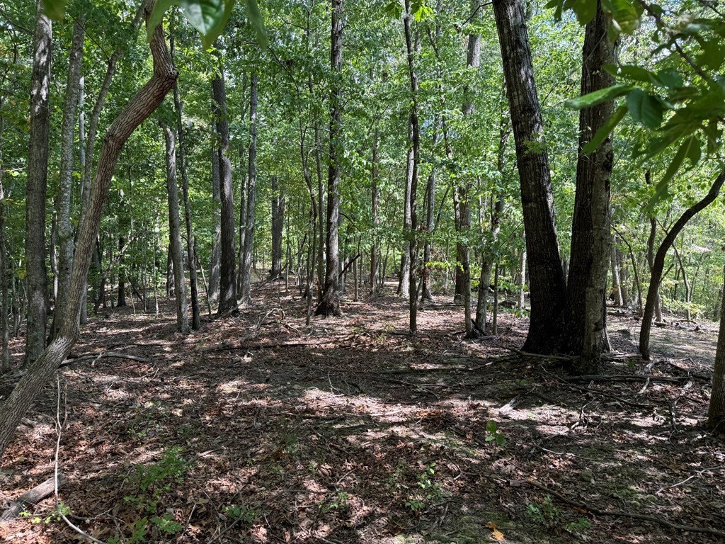 Picture 37