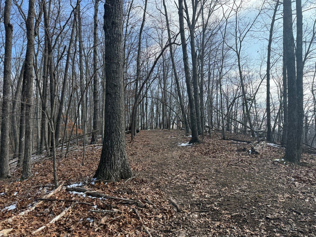 Picture 43