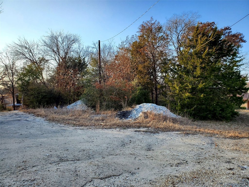 Picture 8