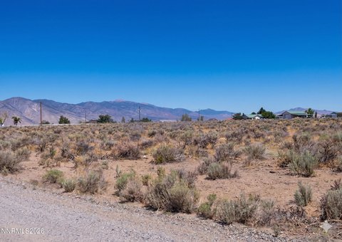 Land, Smith Valley, NV