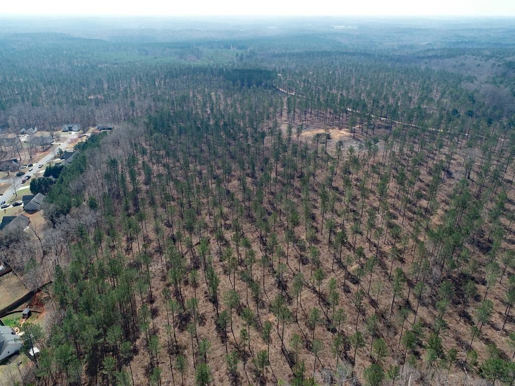 Large Wooded Land For Sale