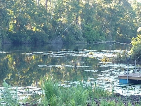 Cleared Waterfront Buildable Lot