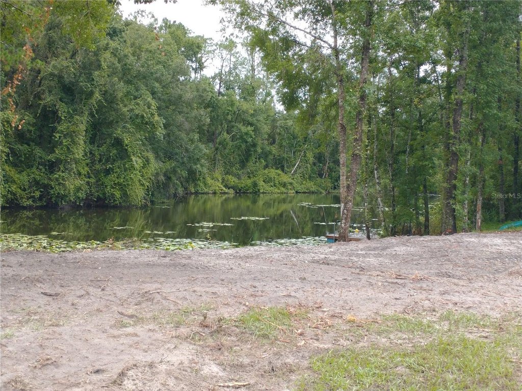 Picture 17