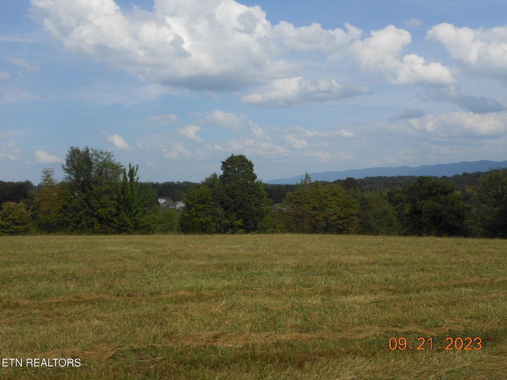 Picture 7