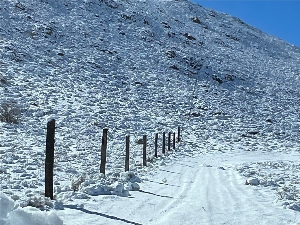 Picture 10