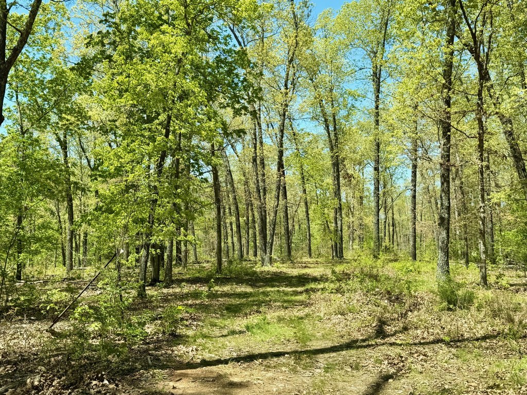 Picture 9