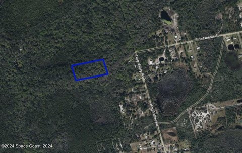 Vacant Land in Mims, FL