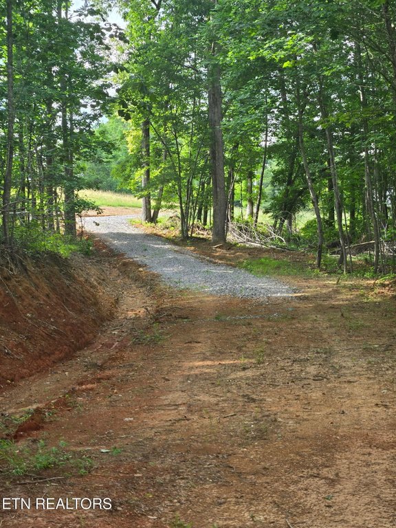 Picture 23