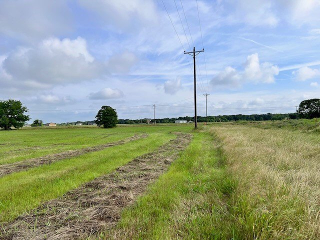 Picture 10