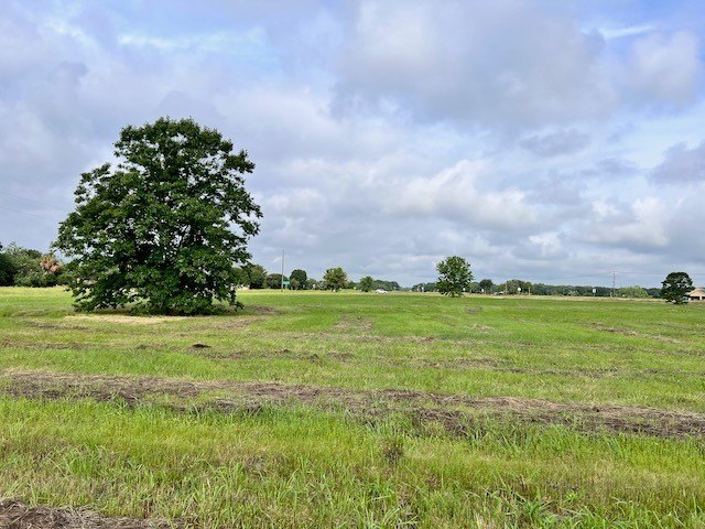 Picture 28