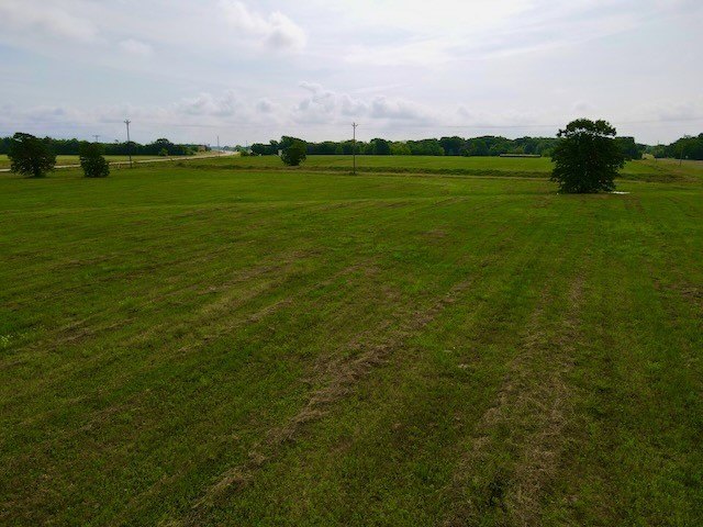 Picture 13