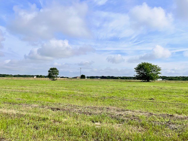 Picture 7