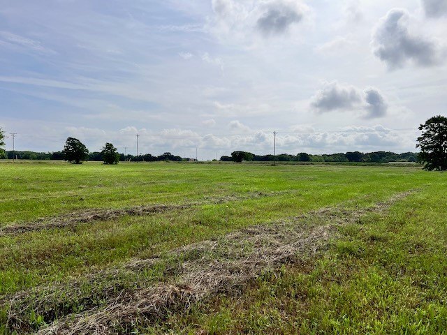 Picture 27