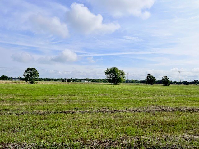Picture 6