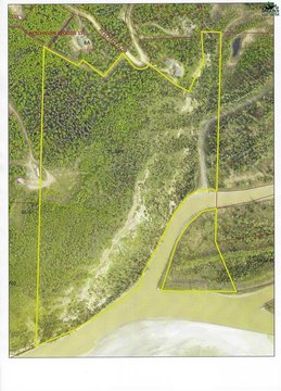 Fairbanks Land with River Frontage
