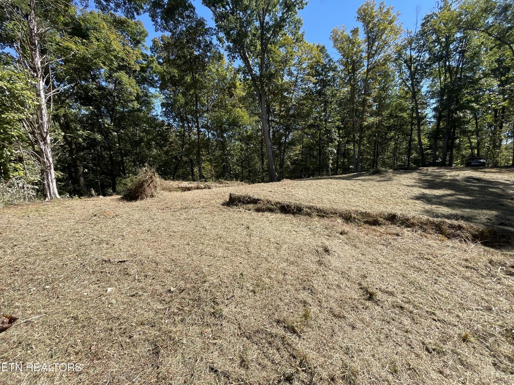 Picture 4