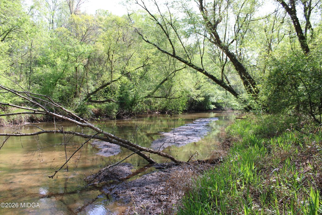 Picture 24