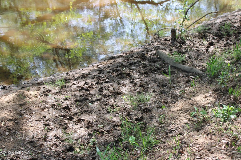 Picture 31