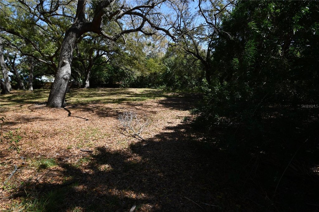 Picture 19