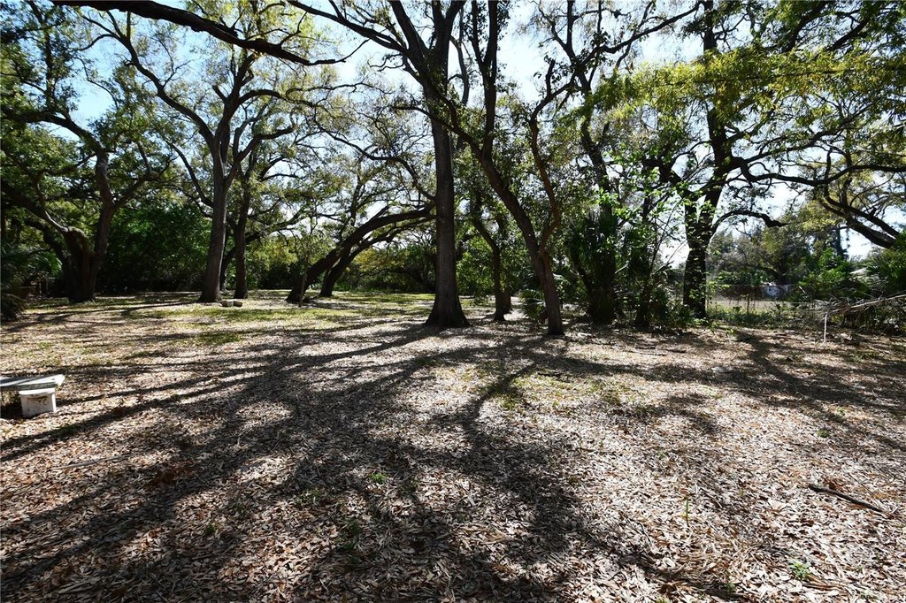 Picture 41