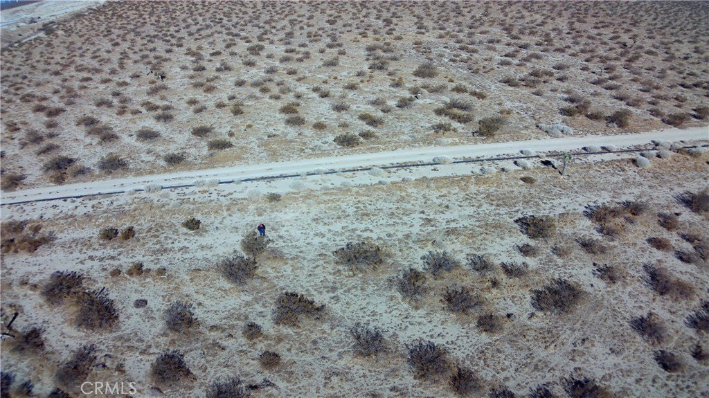 Picture 7