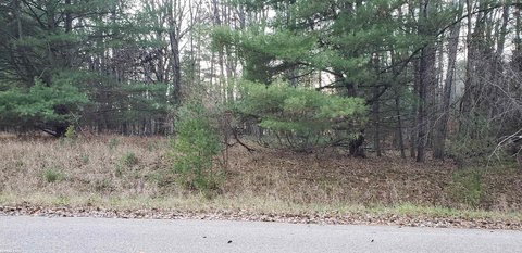 Vacant Land in Gladwin, MI