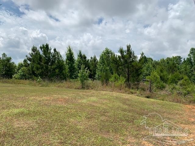 5 Acres on Highway 43