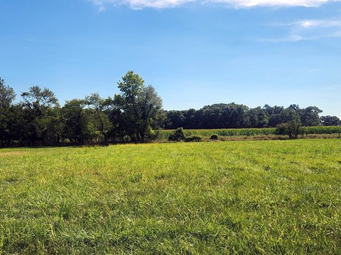 Recreational Land in Lake Wildwood