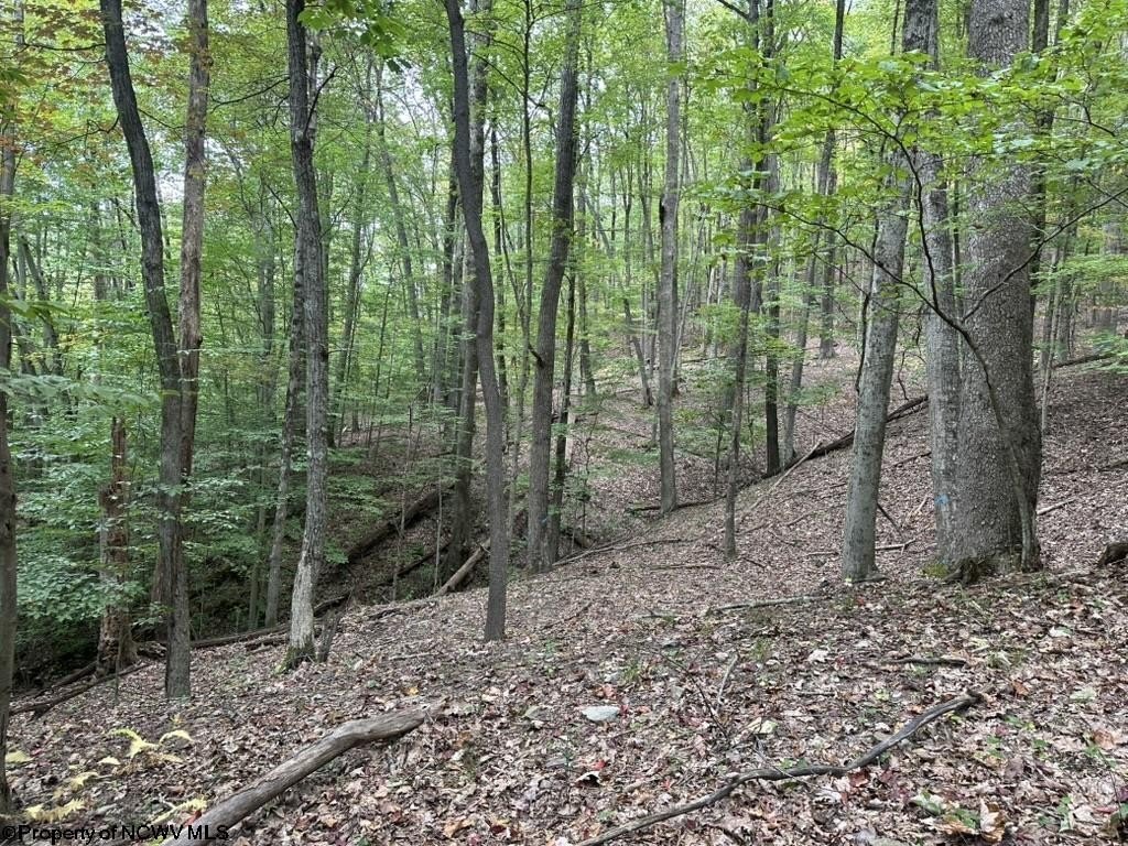 Picture 4