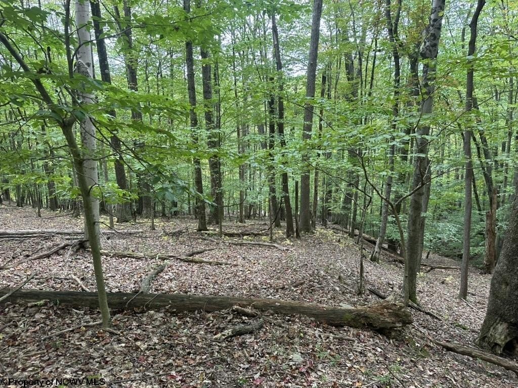 Picture 7