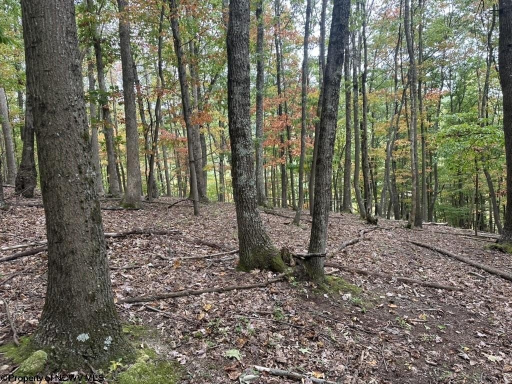 Picture 11