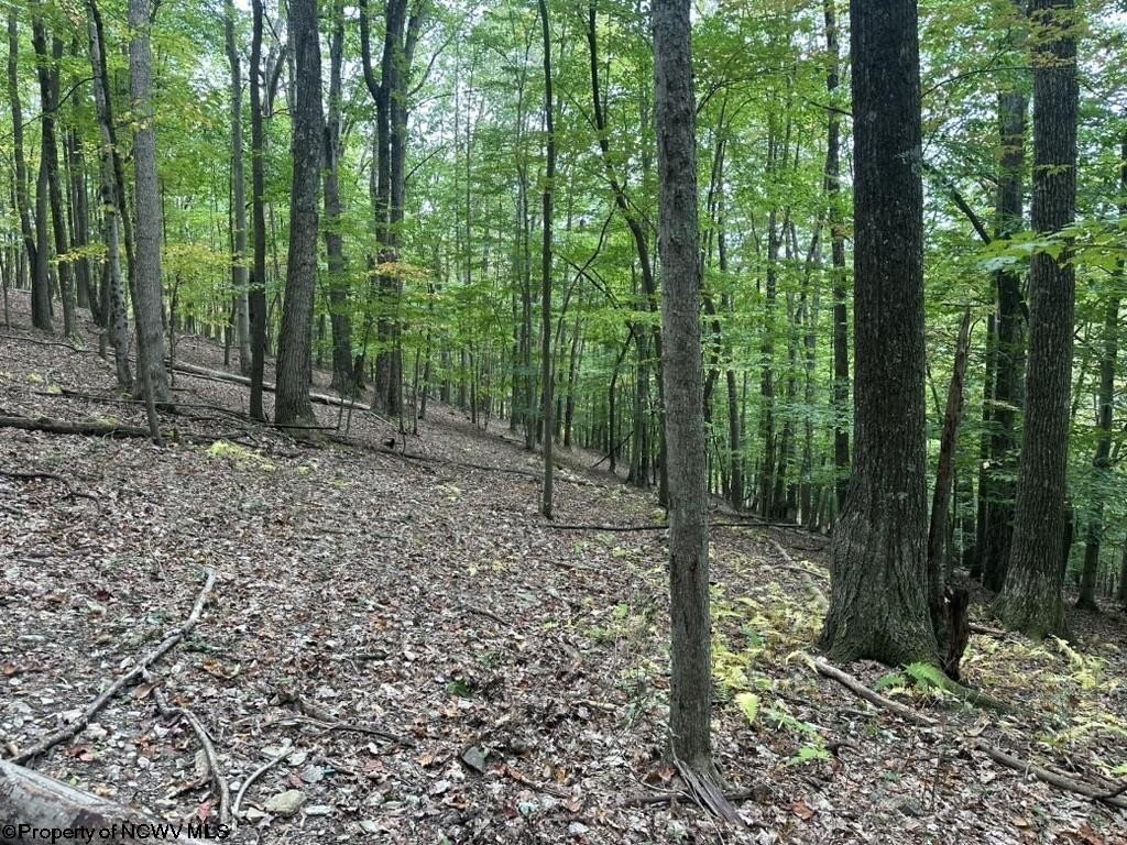 Picture 2