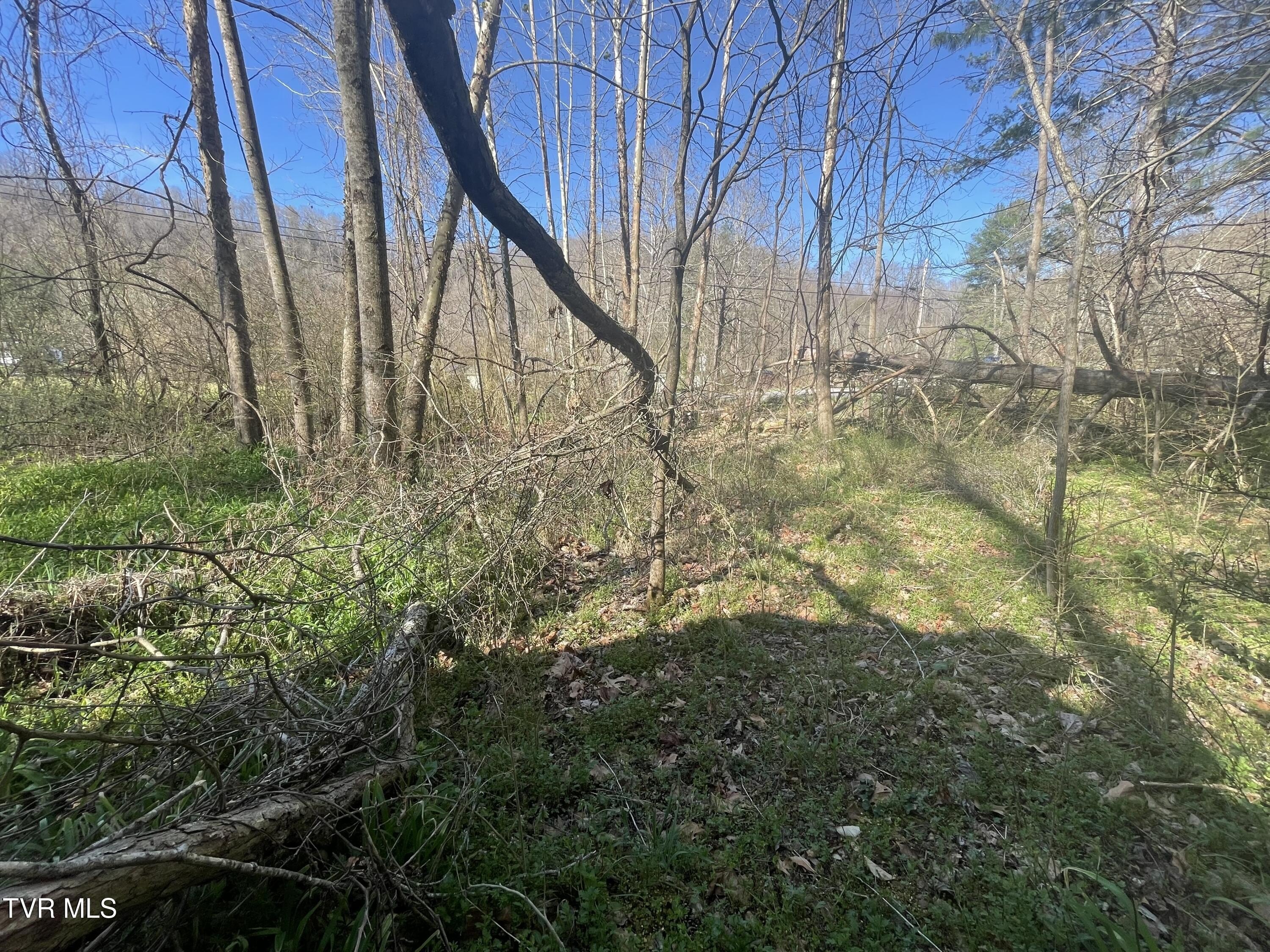 Unrestricted Lot Awaits Your Vision