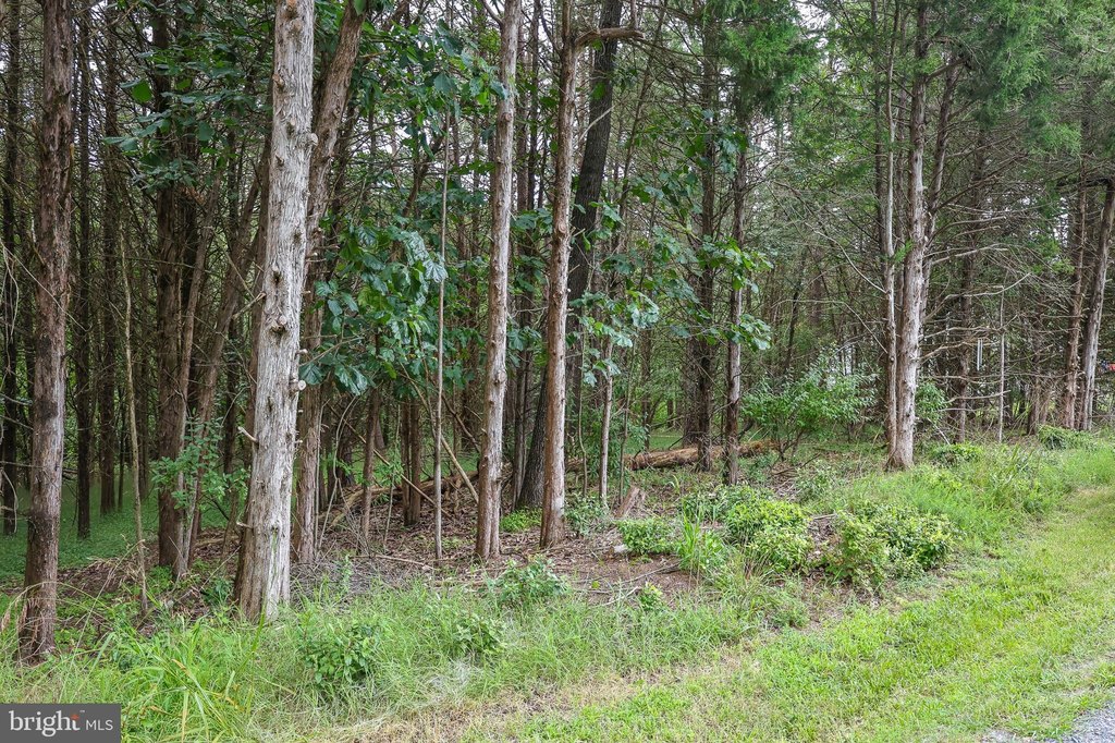 Picture 20