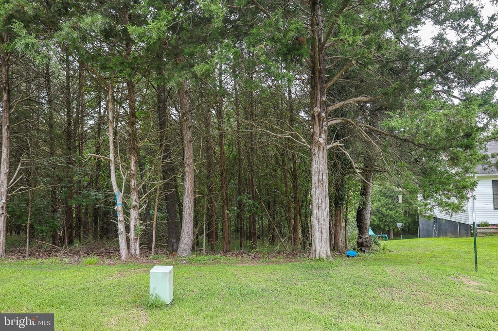Picture 23